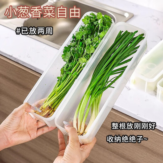 Home KATEI STORY Japanese antibacterial onion crisper drain food grade long coriander green onion ginger garlic refrigerator storage box onion segment box