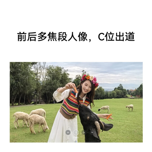 华为（HUAWEI）nova13 Pro  512GB 羽砂紫 前后多焦段人像 鸿蒙智能曲面屏手机 移动补贴+国家补贴