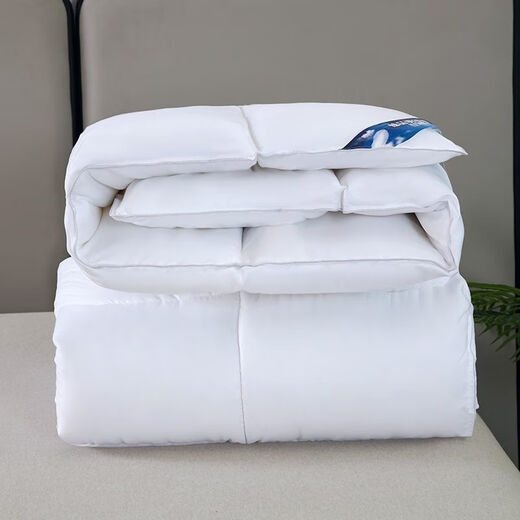 Mercury Series 95 White Goosevelt Quilt Quilt Frühling und Herbst Quilt Quilt Quilt Warm Double Duck Down Quilt Core verdickt 8/*686 Weiß
