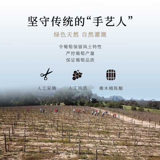 开普山（CAPE MOUNTAIN）K688红酒 原瓶进口干红葡萄酒 皮诺塔吉单酿 750ml 高档礼盒装 品牌官方