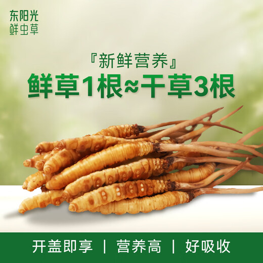 
Dongyangguang Fresh Cordyceps Sugar Sugar Sugar Sugar Sugar Sugar Sugar Sugar Sugar Sugar Sugar Sugar Sugar Sugar Sugar Sugar Sugar Sugar Sugar Sugar Sugar Sugar Sugar Sugar Sugar Sugar Sugar Sugar Sugar Sugar Sugar Sugar Sugar Sugar Sugar Sugar Sugar Sugar Sugar Sugar Sugar Sugar Sugar Sugar Sugar Sugar Sugar Sugar Sugar Sugar Sugar Sugar Sugar Sugar Sugar Sugar Sugar Sugar Su