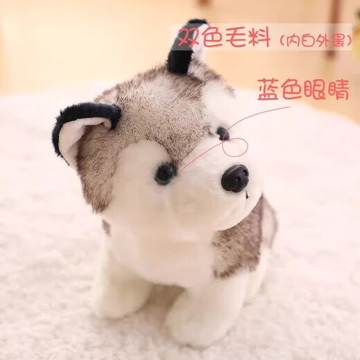 Strange chien en peluche chien chien husky poupée de jouet de jouet de simulation Erha Doll dormant avec cadeau d'anniversaire q version simulation husky poupée 20cm [smooth peluche 丨 adapté à la peau et délicate]