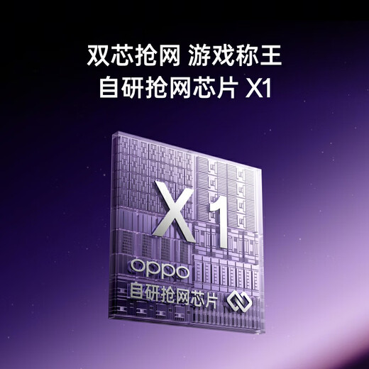 OPPO Reno13 超美小直屏 AI高清实况照片 IP69满级防水 双芯抢网 5G智能拍照手机 蝶蝶紫 12GB+256GB 标准版