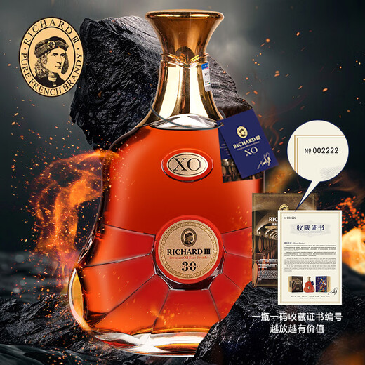 理查三世（RICHARDIII）白兰地xo洋酒法国进口45度1000ml 桶强T30名酒烈酒 送酒杯礼袋 1000mL 2瓶 （性价比）