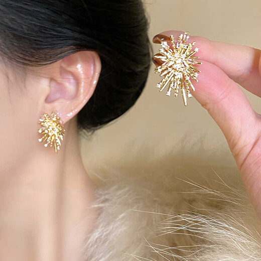 Tapaying Fashionable Zircon Fireworks Earrings Light Luxury High-end Autumn and Winter Earrings Korean Style Earrings Fashion Earrings New Style Fireworks Earrings Pair