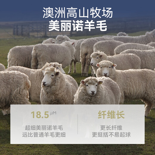 EMZ Ordos Pure Wool Autumn and Winter New Men's Antibacterial Heating Warm Round Neck Sweater with Sweater Inside Navy XL Recommended Height 175-180/Weight 150-160 Jin Jin is equal to 0.5 kg