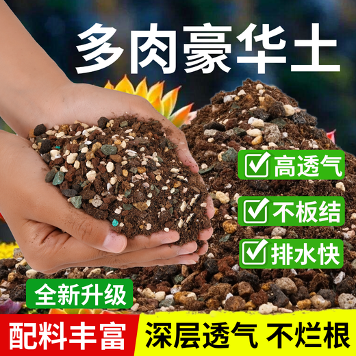 Flower Master Succulent Nutritional Soil Special Granular Soil Succulent Soil Potted Planting Soil for Seedlings and Old Piles Breathable Soil Luxurious Succulent Soil 5Jin Jin is equal to 0.5kg, universal for seedlings.