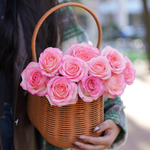 Jingdong flowers rose Aisha 10 stems soilless cultivation branch length 50-55cm gift flower Shandong base source straight