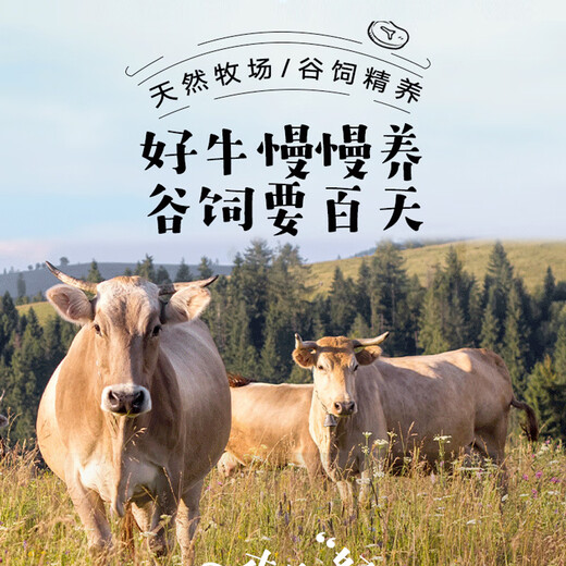 No. 1 member store domestic beef stew, grain-fed raw cut, fat and lean stew ingredients, fresh beef brisket, 2Jin Jin is equal to 0.5kg