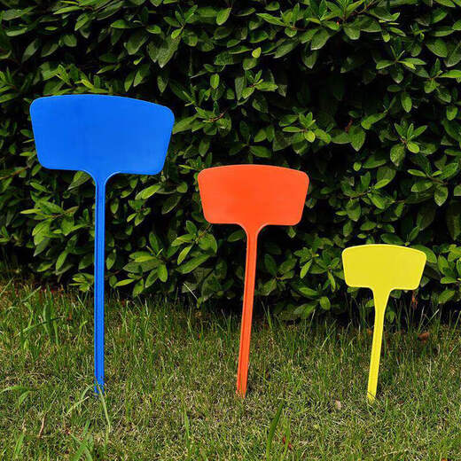 Бренд Shipton Ground, пластиковая крупносторонняя этикетка для садоводства, тестовое поле, знак для земли, знак для рассады цветов, 45*10*19, белый, 10 шт.