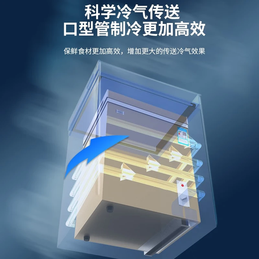 CHIGO small freezer household cold small frozen fresh-keeping bedroom freezer micro-frost storage energy saving micro-frost refrigeration first-level energy saving single temperature white 58L