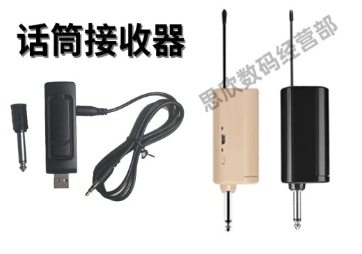 Other Brands Wireless Microphone Receiver Microphone External Receiver Microphone USB Receiver Plug and Play Universal Other [MIC Receiver*Dual Frequency]