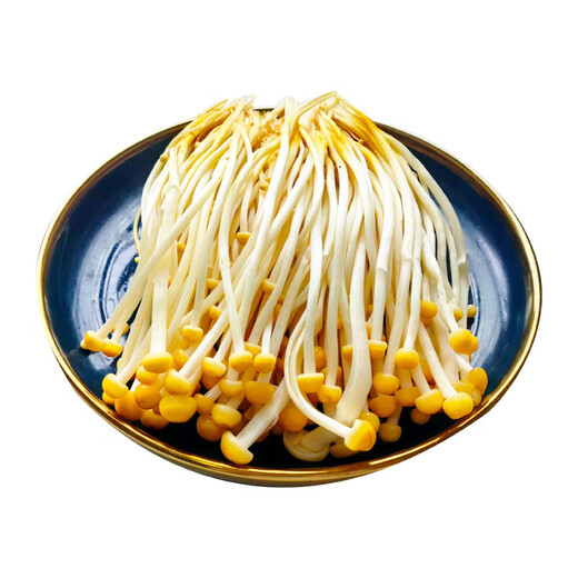 Golden Needle Mushroom 200g