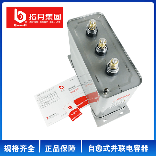 Zhiyue Group BSMJ0.4/0.45/0.48kv self-healing low-voltage parallel power capacitor single-phase/three-phase BSMJ 0.48kv_50kvar-3