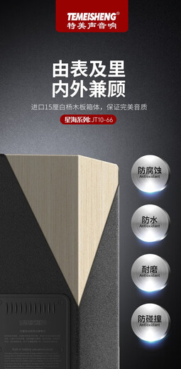 TEMEISHENG JT10-66 outdoor musical instrument audio road show K song square dance portable guitar saxophone playing and singing live broadcast