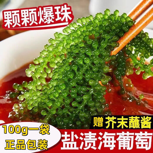 盐渍海葡萄泡发食用 儿童海藻菜海洋蔬菜海草 海葡萄100g*3袋【送芥末酱油】