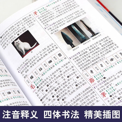 新华正版新华大字典第3版彩色本商务印书馆32开大字本小学生初高中大学新华字典大本第三版商务出版社全功能字典大全汉语词典