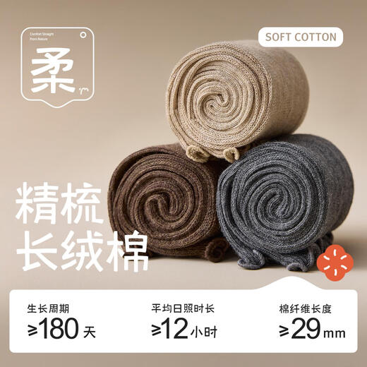 Body-moulding fungus ruffled calf socks for women, spring and autumn style cotton pile socks, slimming jk socks, versatile beautiful leg stockings, 2 pairs of milky white calf socks, 2 pairs, one size fits all (thin, cute and versatile