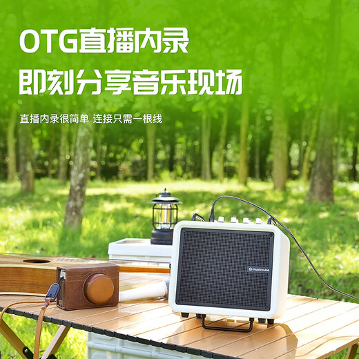 Music Knight H6 musical instrument guitar audio playing and singing electric blowpipe saxophone Bluetooth live broadcast karaoke speaker black + G10 wired microphone