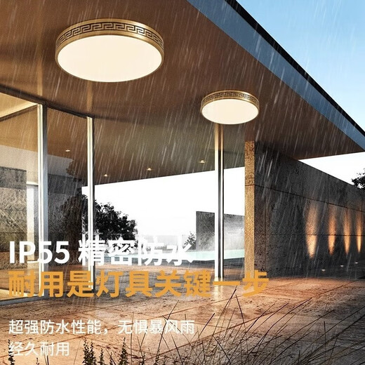 禾灵室外吸顶灯防虫防水进门灯中式别墅全铜超薄入户灯花园露台阳台灯 X3891/圆形40CM/三色可调
