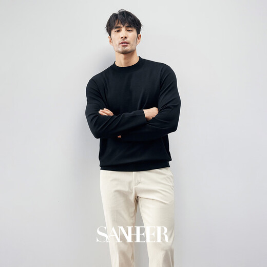 SANHEER冬季BI入高端毛衣 德国扬子保暖羊毛厚款男士半高领羊毛衫 DAZ687 栗咖色 50/L