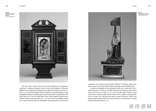 Art and Curiosity Cabinets of the Late Renaissance: A Contribution to the History of Collecting / Text