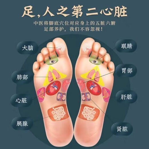 Baiyunshan Old Beijing Foot Patch Mugwort Warming Foot Patch Soles and Foot Patch Helps Legs, Sleep, Moisture, Big Belly, Whole Body, Three Boxes Periodic Pack