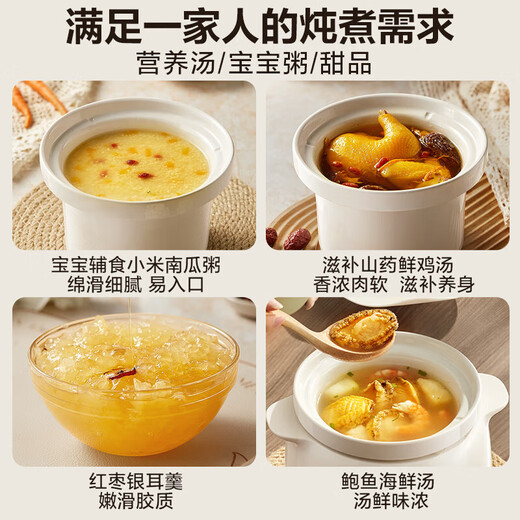 苏泊尔（SUPOR）电炖锅家用多功能锅1.5L电炖盅炖汤盅燕窝锅养生锅小火慢炖电炖锅精炖煮粥煲汤锅 1.5L DG15YC869