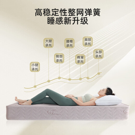 Muluohua Coconut Brown Spring Matelas 3E Mattreux de protection contre la ridge de la noix de coco respectueuse de l'environnement Simmons 1350 * 1900 mm