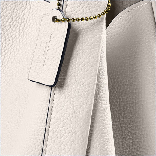 COACH Gift Outlet Women's Bag HADLEY No. 21 Half-Moon Bag Shoulder Crossbody Bag Vegetable Basket Commuting B4/Chalk White