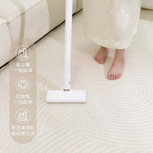 
Carpet living room cream style 2024 new style free washable wipeable bedroom room bedside blanket household sofa waterproof floor mat plain line-15938 240*400cm gold thickness