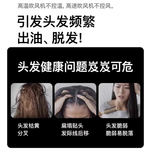 Chizu Huaqiangbei 2024 Top Equipped with 3.5 Billion Negative Ions for Hair Care Leafless Hair Dryer Home Silent Negative Ions High Power No Hair Damage High Speed High Wind Hair Dryer Officially Equipped New Violet 3 Billion Negative Ions Hair Care 10s Quick Dry Top Ten Hair Dryers Dynamic Hot and Cold Wind Repair Damaged Hair 1.8 Meter Cord