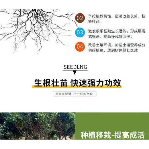 YWZR磷肥钙镁磷肥有机硅花用种菜果树调节土壤板结防裂果基肥通用型肥 有机硅 钙镁磷肥 1斤