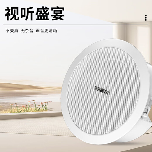 先科（SAST）SA-5012 吸顶音响套装蓝牙定压功放机公共广播家用客厅商用会议店铺背景嵌入式隐藏吊顶音箱一拖二