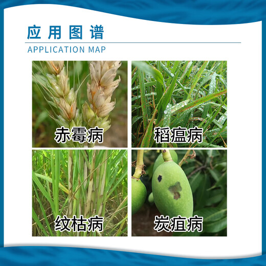 Ricao Ricao Methiophanate, Thiophanate Methyl, Thiophanate Methyl, Anthrax Blight, Ring Blight, Pesticide Fungicide 25ml