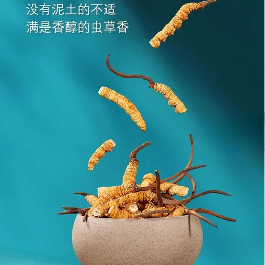 冬虫夏草藏区冬虫夏草断草自食更实惠干虫草滋补干嚼泡酒打粉煲汤 大断虫草20克送2克