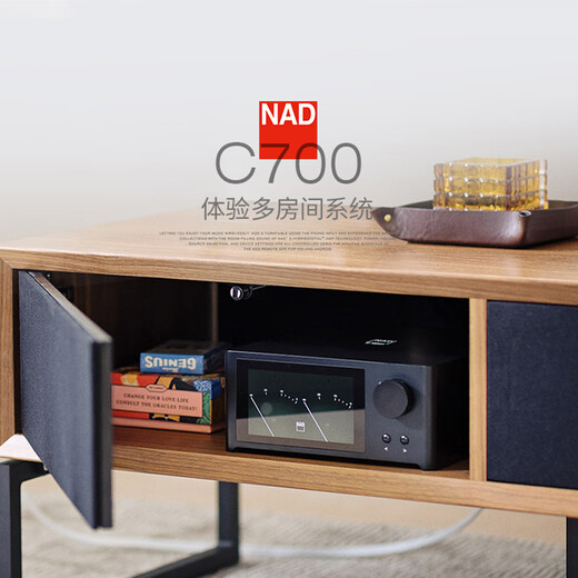 NAD C700 网络数字音频流媒体功放一体机专业音频解码器 家用专业功率放大器蓝牙合并功放USB解码 【套装】C700+达尼皇太子SE