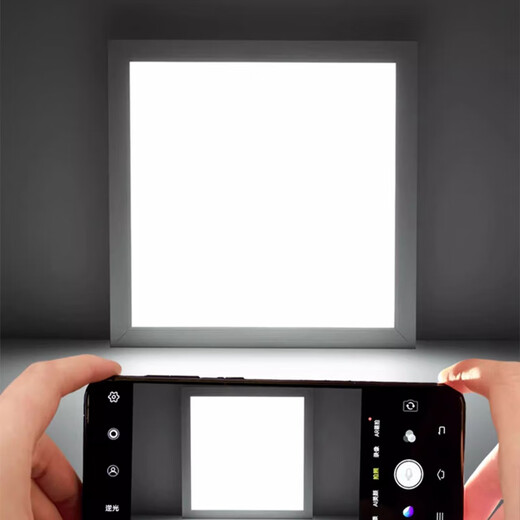 Fanyao 600*600 integrated ceiling light LED panel light bathroom office building embedded engineering light single drive-white light-38w