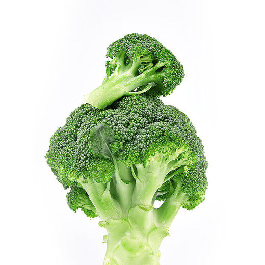 Shuangdacai plateau broccoli about 400g