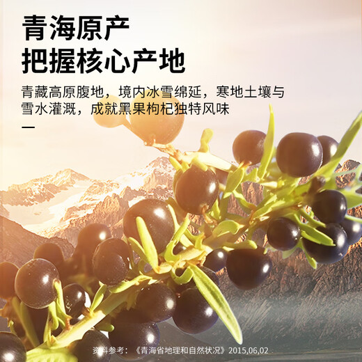 同仁堂品牌 北京同仁堂黑枸杞500克（250g *2罐）特产黑枸杞子配滋补茶