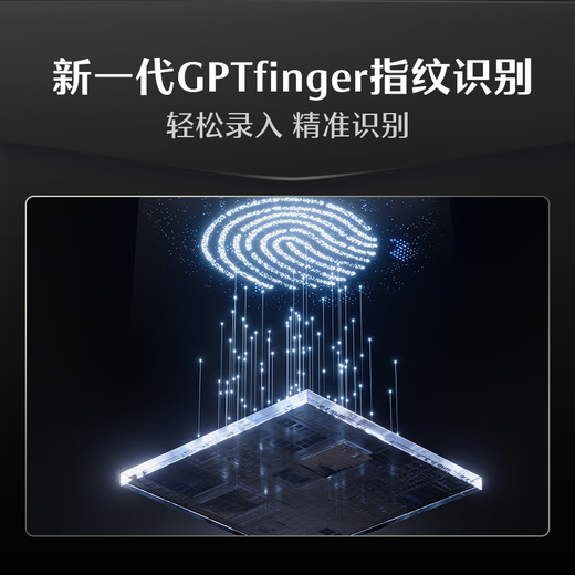 DESMAN smart door lock face palm vein recognition Sentinel visual cat eye large screen electronic lock Kirin Q50FVMax