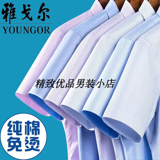 CEOGY雅戈尔男士短袖衬衫条纹纯棉免烫商务职业正装白色衬衣酒红[商 浅兰[商场同款] 42码[162-172斤]