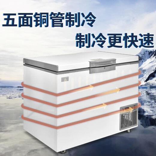 
Yishang Super Low Temperature Freezer - 60 Degree Deep Freezer Home Commercial Seafood Freezer Tuna Salmon Sashimi Sub-Minus Negative 65 Storage Stainless Steel Refrigerator Scientific Research Experiment Saving Box - 65 Degree 695 Liters [Storage 900 Jin [Jin equals 0.5 kg]]