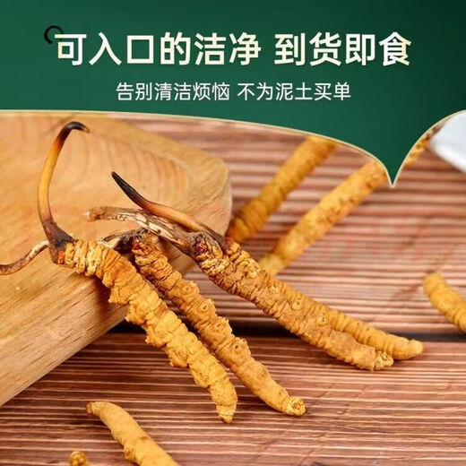 冬虫夏草 藏区虫草1根一克高海拔冬虫夏草礼盒装冬虫草干货送礼佳 3根1克-20根瓶装