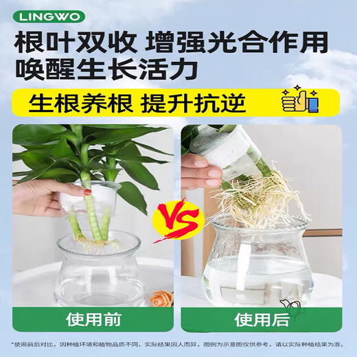 艾尚棵富贵竹营养液黄叶土培水养水培绿植物专用通的营养液花肥料怎么用 买2 送1【发3瓶】