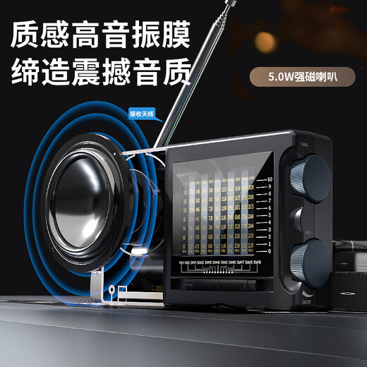 Newmine T-6629 Radio para que los ancianos cobren mini mini de audio pequeño de la operación Radio Revisión de la radio Walkman Examen de ingreso de Walkman English English CET-4 y CET-6 Player La radio portátil [la operación de edad avanzada es simple]