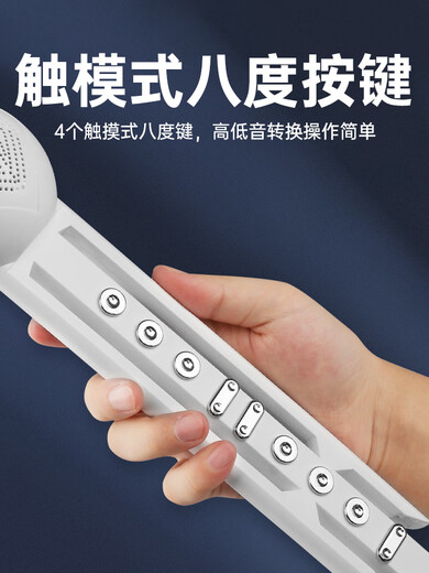 新锐电葫芦丝乐器国产电子吹管葫芦丝电子笛电萨成人初学者乐器 [现货]白色标配+礼包