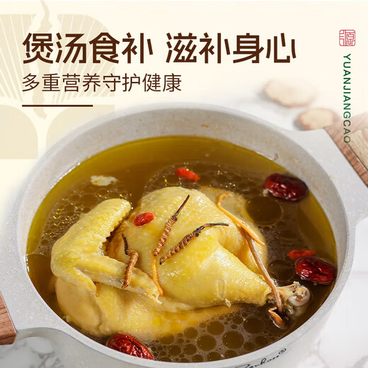 源江草冬虫夏草 新干虫草滋补品送父母长辈滋高端礼盒 3根/g 50克【商务甄选】