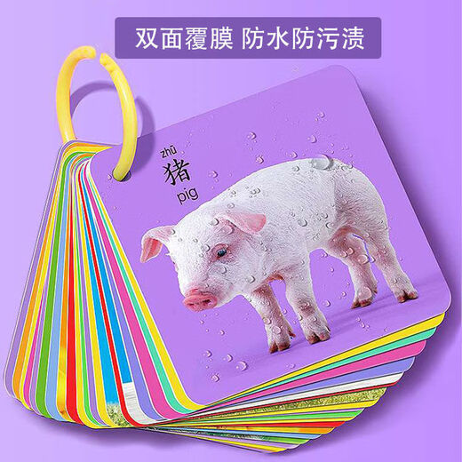 文枝文枝幼儿卡片婴儿早教儿童专注力认知训练教具神器卡闪卡宝宝玩具 1款90图动物世界