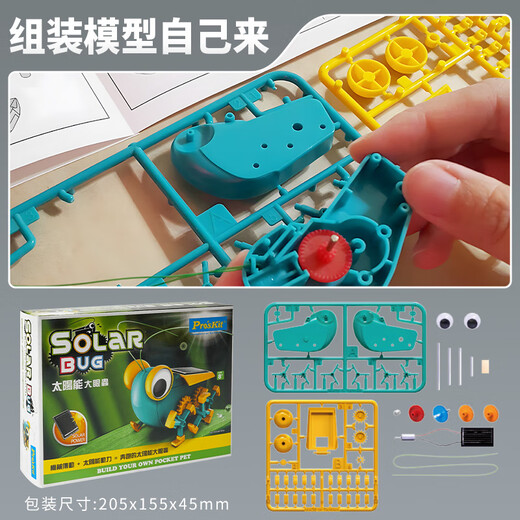 Pro'skit (pro'skit) mignon bogue gros oeil bugs solaires pour enfants énergétiques 8-12 ans garçons et filles cadeau d'anniversaire GE-683